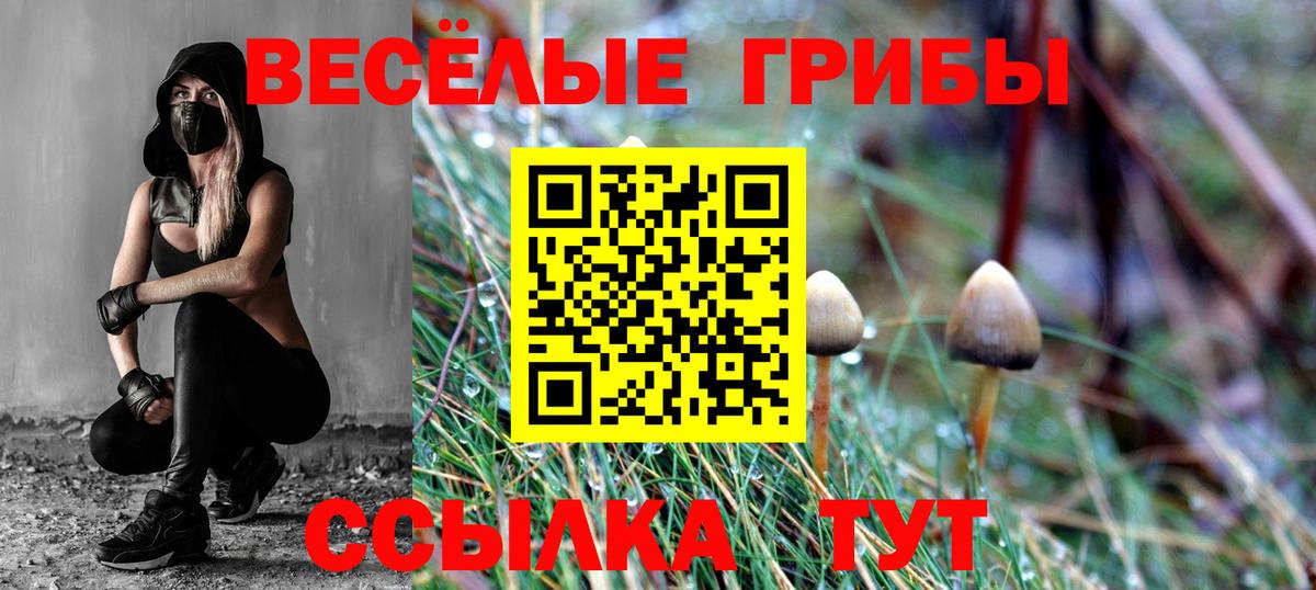 Псилоцибиновые грибы Magic Shrooms  Вход с VPN  закладки  Мирный 